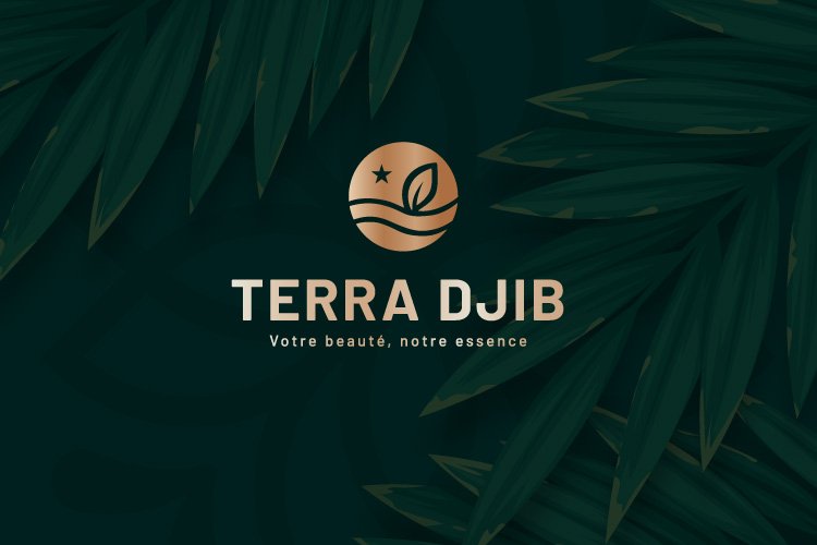 Histoire de TERRA DJIB
