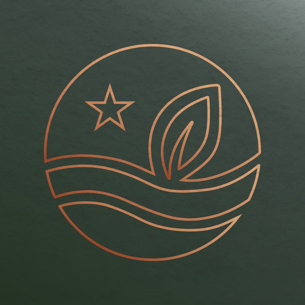 TERRA DJIB logo in copper color featuring a star a leaf and waves inside a circle evoking natural beauty and brand identity